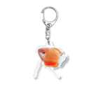 qqqqlmのgurami  Acrylic Key Chain