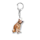 愛犬太郎のグッズの黄昏太郎【柴犬】 Acrylic Key Chain