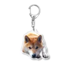 愛犬太郎のグッズの上目遣い太郎【柴犬】 Acrylic Key Chain