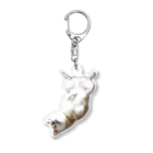 愛犬太郎のグッズのへそ天太郎【柴犬】仰向け Acrylic Key Chain