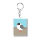 ぴごはんのゆりかもめ 夏羽 Acrylic Key Chain