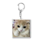 にゃんこの「めめたん」グッズのくしくし Acrylic Key Chain