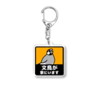 たかはらの文鳥が家にいます Acrylic Key Chain