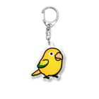 Cody the LovebirdのChubby Bird ニョオウインコ Acrylic Key Chain