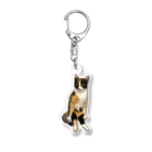 AtelierGluckのみーたん Acrylic Key Chain