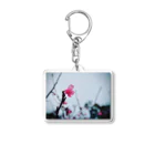 空飛ぶ猫 sakuuの春は来る Acrylic Key Chain