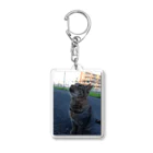 ながしっぽ from.さくらねこの家のとらちゃん　type.Ｂ Acrylic Key Chain