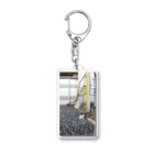 ながしっぽ from.さくらねこの家のながしっぽ　type.D Acrylic Key Chain