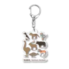 huroshikiの 絶滅動物 Extinct Animal Acrylic Key Chain