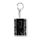 大toroの視線Ⅱ Acrylic Key Chain