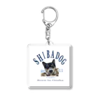 黒柴むつ　犬　柴犬の黒柴むつ　柴犬　犬　 Acrylic Key Chain