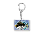 好きなもの。のモンガラちゃん(背景あり) Acrylic Key Chain