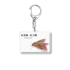 猫とか虫とかのベニスズメ白バックアクキー Acrylic Key Chain