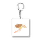 Aquarium Art_by Yamaのキーホルダー「アカウミガメ」 Acrylic Key Chain