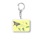 kitaooji shop SUZURI店のナミアゲハの発生サイクル Acrylic Key Chain