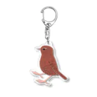 piro piro piccoloのひかえめミソサザイ  Acrylic Key Chain