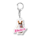 didの凛とした犬 Acrylic Key Chain