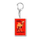 YS VINTAGE WORKSのチェコ　プラハ動物園　ラクダ Acrylic Key Chain