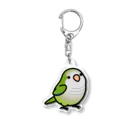 Cody the LovebirdのChubby Bird オキナインコ Acrylic Key Chain