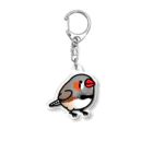 Cody the LovebirdのChubby Bird キンカチョウ Acrylic Key Chain