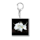 PINEAPPLESのTillandsia xiphioides Acrylic Key Chain