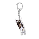 Sabiのpui Acrylic Key Chain