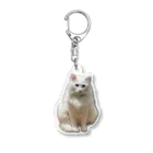 zakitamaのうちのしどちゃん Acrylic Key Chain