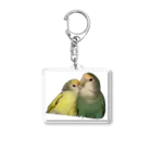 クレーンゲームのコザクラインコ ベビちゃん アビちゃん Acrylic Key Chain