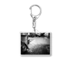 TackのA stray cat Acrylic Key Chain