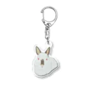 chocott_chicoのうさぎさん🐰ヒマラヤン Acrylic Key Chain