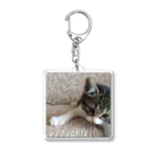 南の島のにゃんこのこねこのパル～南の島のにゃんこ～ Acrylic Key Chain