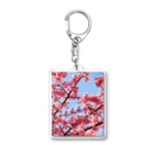 taka_1026のサクジローと観覧車 Acrylic Key Chain