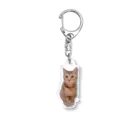 miy＊jamminのvivimvaちゃん Acrylic Key Chain