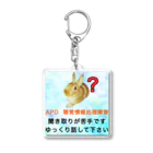 ドライのうさぎ　APD 聴覚情報処理障害　聞き取りが苦手 Acrylic Key Chain