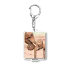 paweyetailのlove - link - life Acrylic Key Chain