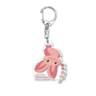 雁花工房（寄付アイテム販売中です）のウサギコウモリ Acrylic Key Chain