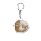 puca pucaの猫がいます Acrylic Key Chain