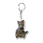 ねこネコ家族のルー(B) Acrylic Key Chain