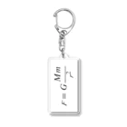 ゴリーメイソンの万有引力方程式 Acrylic Key Chain