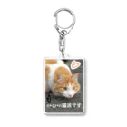 ルキちゃの猫派です グッズ Acrylic Key Chain