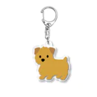 TOMOS-dogのnorfolkterrier（レッド） Acrylic Key Chain