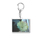 bloomのCOLOR Acrylic Key Chain