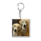 Golden Retriever Sarah&TaroのGolden Retriever Sarah&Taro3 アクリルキーホルダー