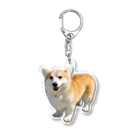 ガブちゃんのふかふか Acrylic Key Chain