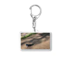 ニコ…🦆の疾走する鳩 Acrylic Key Chain