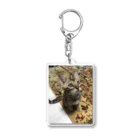 胡桃 🐿🥜ののんたん、 Acrylic Key Chain