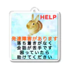 ドライ2のうさぎ　発達障害　多動　会話が苦手　コミュニケーションが苦手 ASD ADHD Acrylic Key Chain