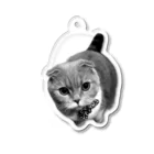 SHOPシャコタン2号店のCAT-8 Acrylic Key Chain