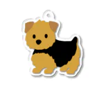 TOMOS-dogのnorfolkterrier（ブラタン） Acrylic Key Chain