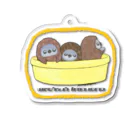 ヤママユ(ヤママユ・ペンギイナ)のタライリムジン(ケープ、マゼラン、フンボルト)アクキー Acrylic Key Chain